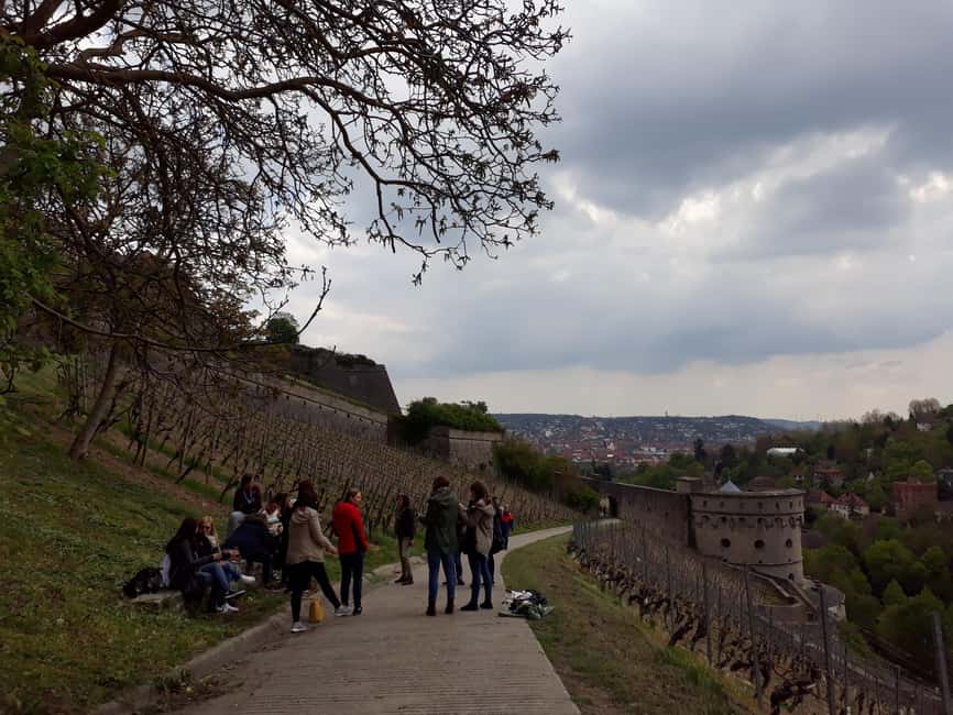 Wuerzburg: Vineyard rally with wine tasting and group dynamics - What makes this Würzburg wine rally special