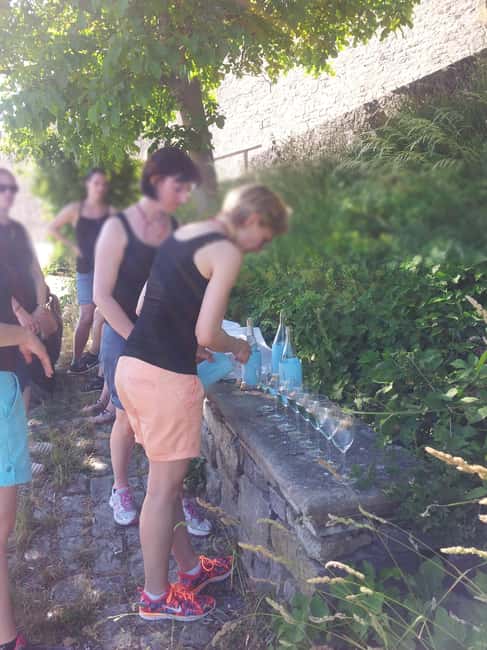 Wuerzburg: Vineyard rally with wine tasting and group dynamics - Team names, wine questions, and friendly competition