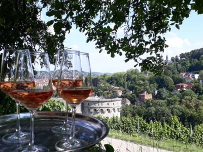 Wuerzburg: Vineyard rally with wine tasting and group dynamics