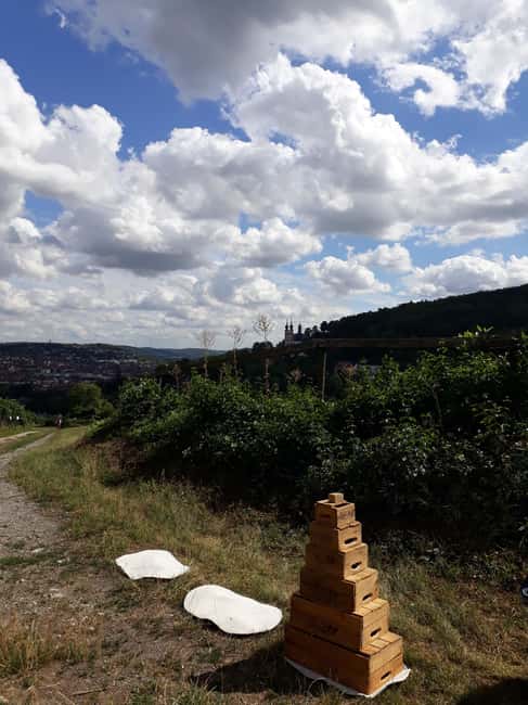 Wuerzburg: Vineyard rally with wine tasting and group dynamics - The sensory station and wine quiz