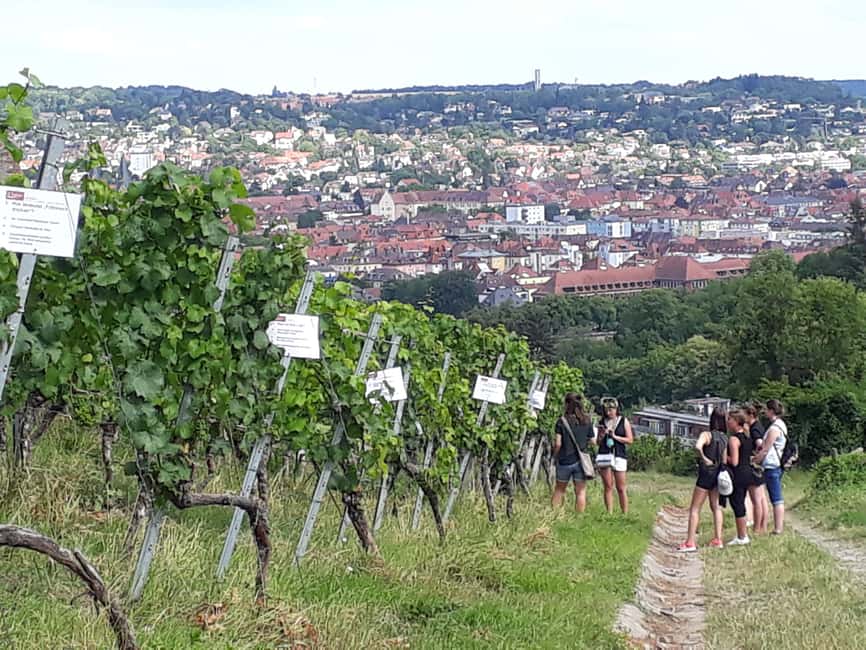 Wuerzburg: Vineyard rally with wine tasting and group dynamics - The wine harp and other hands-on stations