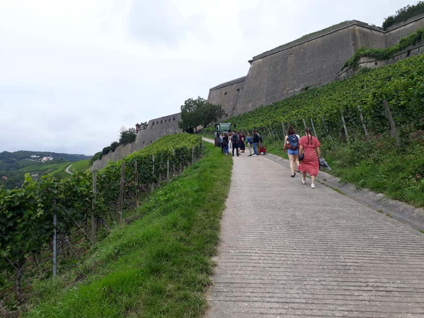 Wuerzburg: Vineyard rally with wine tasting and group dynamics - Three wines below the fortress