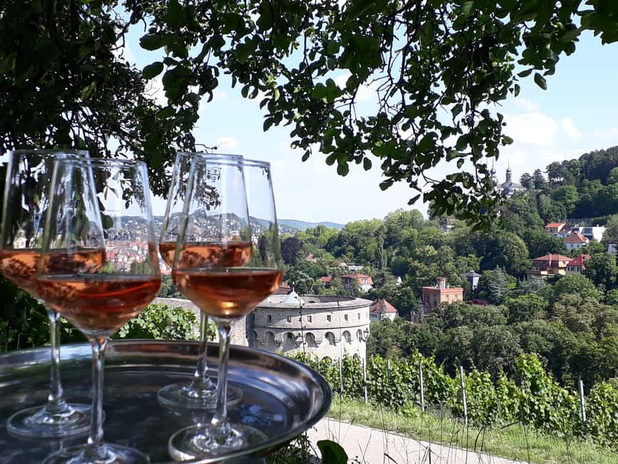 Wuerzburg: Vineyard rally with wine tasting and group dynamics - The sparkling wine welcome