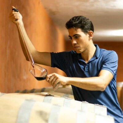 Xalo: Vineyard Tour with Wine Tasting and Snacks