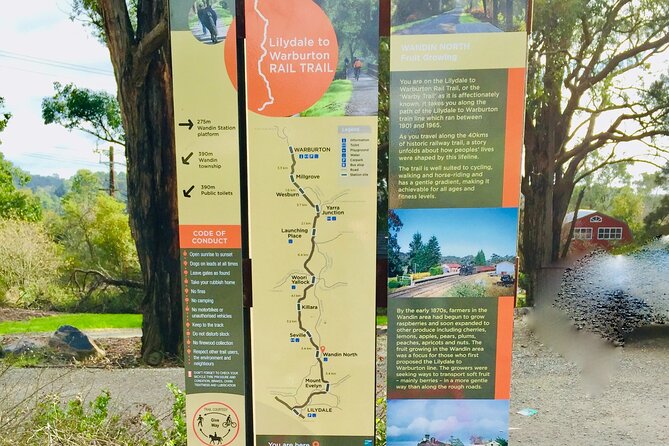 Yarra Valley Guided Bike Tour | Food & Wine Region - Lilydale to Warburton: two hours of steady riding