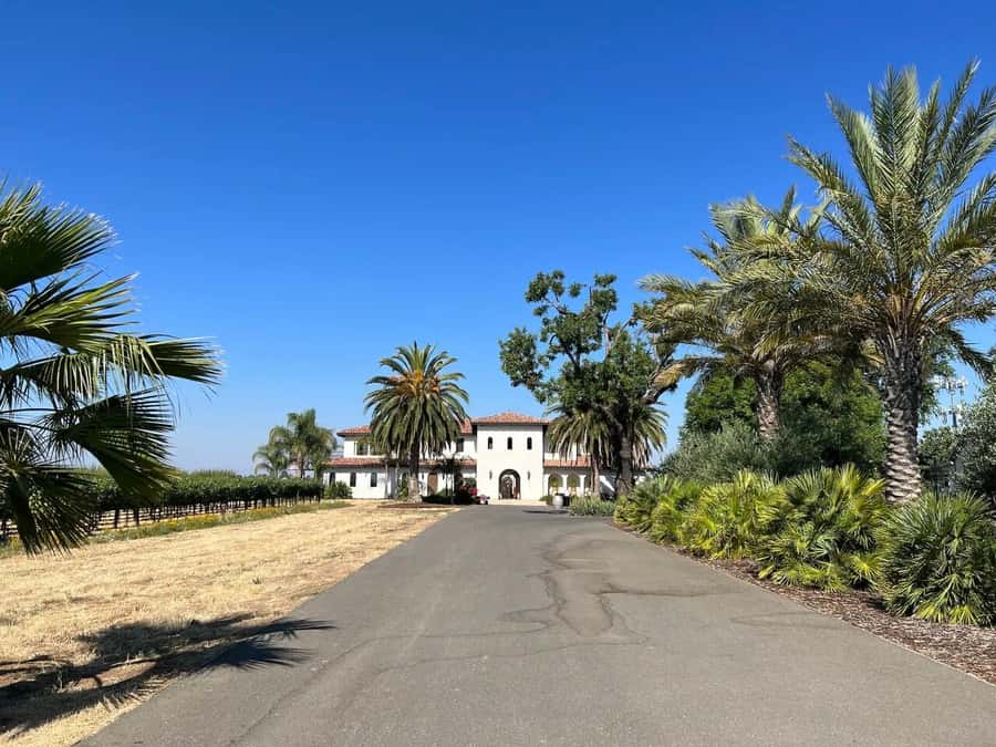 Yolo: Vineyards, Farms & Cultural Gems - Audio Driving Tour - Wine, farm food, and the taste of Yolo